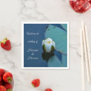 Search for harmony photography Zen