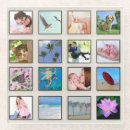 Search for photo collage coasters Photography