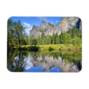 Search for reflect magnets No people