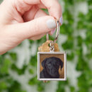 Search for labrador puppy key rings Animal