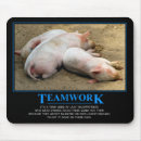 Search for pigs electronics Humour