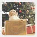 Search for live animal stickers Dog