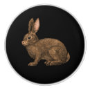 Search for rabbit knobs and pulls Bunny