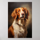 Search for brittany dog posters Epagneul breton
