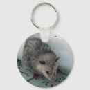 Search for possums key rings Animals