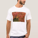 Search for acer clothing Oregon