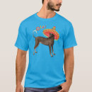 Search for xolo clothing Xolito