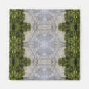 Search for moss magnets Green