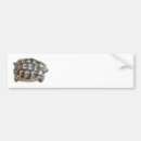 Search for tortoise bumper stickers Shell