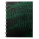 Search for fern photography Nature
