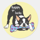 Search for boston terrier stickers Canine