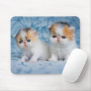 Search for calico mouse mats Pets