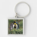 Search for cute penguins square key rings Nature