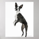 Search for looking at camera posters Vertical