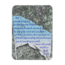 Search for guards magnets Winter