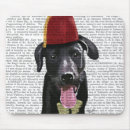 Search for black labrador electronics Animals
