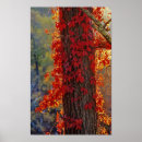 Search for creeper posters Red