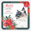 Search for ragdoll stickers Blue eyes