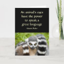 Search for stripey cards Cute