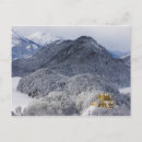 Search for schloss postcards Bavaria