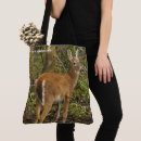 Search for yearling Wildlife