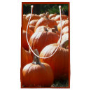 Search for thanksgiving gift bags Pumpkin patch