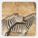 Search for south side stickers Wildlife