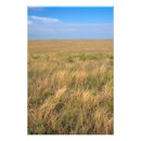 Search for nebraska art Landscape