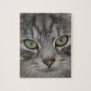 Search for cat face puzzles Tabby