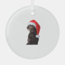Search for chocolate lab christmas tree decorations Animal