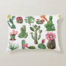 Search for cactus decor Colourful