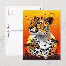 Search for cheetah postcards Wild animal