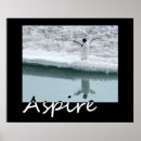 Search for aspiration posters Motivational