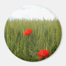 Search for fields magnets Wheat