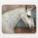 Search for maree electronics Stallion