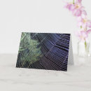 Search for spider web halloween cards Scary