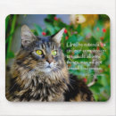 Search for maine coon cat mouse mats Cats