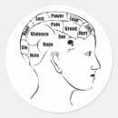 Search for anatomy brain stickers Doctor