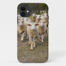 Search for sheep iphone cases Agriculture