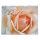 Search for rose macro photography Roses