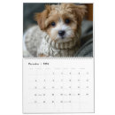 Search for puppy calendars Puppies