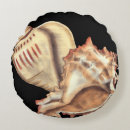 Search for conch shell cushions Coastal