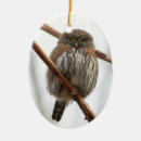 Search for white owl christmas tree decorations Wildlife