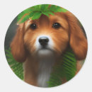 Search for white fur stickers Puppy
