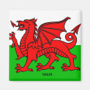 Search for wales magnets Welsh
