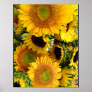 Search for happy sunflowers posters Cheerful