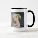 Search for red labrador mugs Puppy