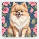 Search for pomeranian stickers Cute