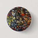 Search for fossilized bones badges Darrell gulin