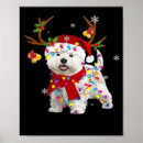 Search for westie posters Wolf